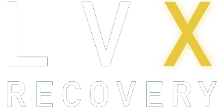 LVX-logo-footer