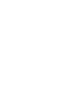 LVX-logo-outline